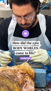47K views · 1.8K reactions | Have you ever wondered how an epic exhibition like BODY WORLDS comes to life? With a whole lot of science, passion and innovation 邏 ⁠ ⁠ ️ Tickets in bio! | Secret Brisbane | Facebook