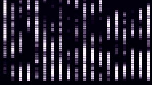 Digital, Future, Technology