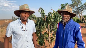 26K views · 677 reactions | How to grow Fruits in Sandy and Hot places | Radical Farmer - Organic Farm7 | Facebook