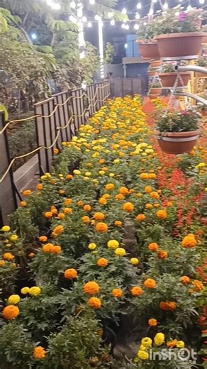 Botanical garden Capital Mall Vasai #garden #plants #vasai