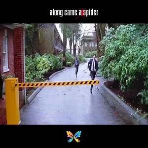 19K views · 86 reactions | Along came a spider #Bully #Bullymovie #Movies #StevenSeagal #ChuckNorris | La paloma funky bar | Facebook