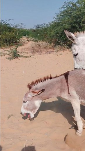 #ytshorts #successful #subscribers #fouryou