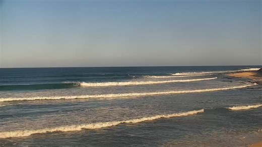 David Lipschitz on Reels