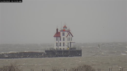 Take a look at the incredible view from our Port Lorain Live Cam today! With winds pushing up to 58 mph, Lake Erie is showing its strength with waves reaching nearly 22 feet according to the latest the marine forecast. 24/7 Port Lorain Cam https://www.youtube.com/watch?v=1MVB3fgg7kg 24/7 Black River Landing Cam https://www.youtube.com/watch?v=ZZevIUr2cTk #waves #winterstorm #snowstorm #snow #lakeerie #ohio #lorain #bigwaves #heavywaves #lighthouse #lakelife #greatlakes #greatlakesshipping | Lora