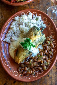 Chicken Chile Relleno Recipe with Cilantro Cream Sauce