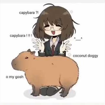 Capybara meme
