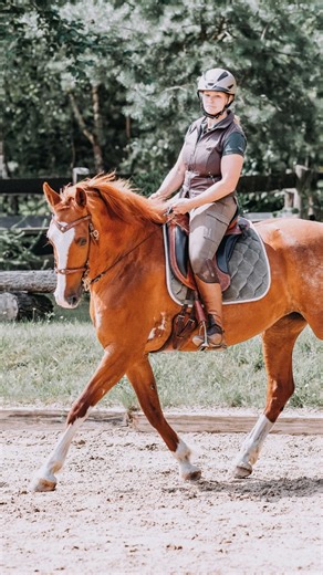 Klemmendes Knie beim Reiten – was bedeutet das eigentlich? 🤔 Und warum ist es so problematisch? 👀 Wenn ihr mit den Knien klemmt, blockiert ihr eure gesamte Beweglichkeit. Das Bein kann nicht mehr locker durchfedern, und euer Sitz wird starr. Die Folge? Ihr werdet aus dem Sattel geworfen, könnt nicht mehr fein auf euer Pferd einwirken und verliert die Balance. Außerdem spürt euer Pferd die Spannung – und das kann sich auf seine Losgelassenheit auswirken. Die Lösung? 👉🏻 Rückwärts-Fahrradfahren