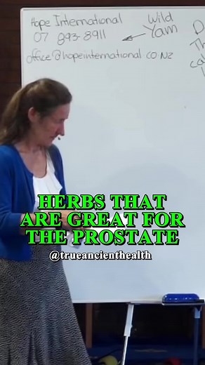 Herbs for the Prostate Health