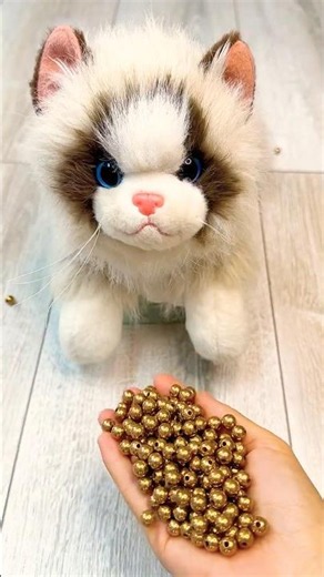 Color Splash Cat ASMR 🌈✨ #cat #youtubeshorts #funny #asmrshorts