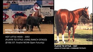 7.2K views · 215 reactions | 1991 NCHA ANNUAL WORLD CHAMPIONSHIP FUTURITY CHARLIE CORD riding HOT LITTLE HEIDI HOT LITTLE HEIDI - 2002 (PLAYIN TO STYLE x KING RANCH OTAGO) ($108,127: finalist NCHA Open Futurity) | RDVideo - Video e Fotografia | Facebook