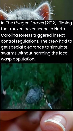 In The Hunger Games 2012 filming the tracker jacker scene in North Carolina forests triggered
