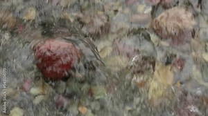 Water in a small stream rushes and splashes over multi colored rocks and pebbles in Glacier National park Montana.