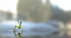 381K views · 4.6K reactions | When you finally see the finish line | Runner's World UK | Facebook