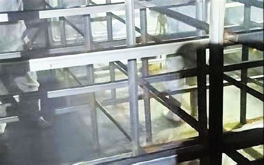 触目惊心！渭南某小区水箱成 "淤泥青苔窝"，物业清洗是法定义务