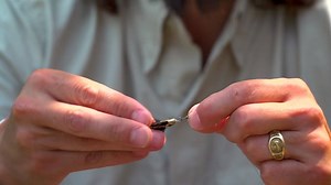 GO GO GADGET FLY | This week's RIO Fly Fishing Tip shows how easy and quickly it is to attach a fly using a Fly Clip, or twist Clip. Not only does a clip add speed to the rigging process, but also is great in low light conditions, and works really well at preventing leaders, tippet and droppers from getting too short. | #riomaketheconnection #rioproducts | https://www.rioproducts.com/learn/quickly-attach-a-fly-video | RIO PRODUCTS