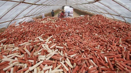 玉米棒芯在韩国包装好售价超高？网友看了：感觉自己错过一个亿！