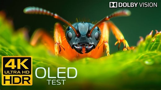 【4K HDR】令人难以置信的4K HDR OLED测试-杜比视界•4K视频超高清（4K-8K电视演示）|极致画质|杜比视界|电视屏幕测试|手机屏幕测试 |