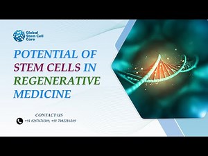 Unlocking the Power of Stem Cells: The Future of Regenerative Medicine |