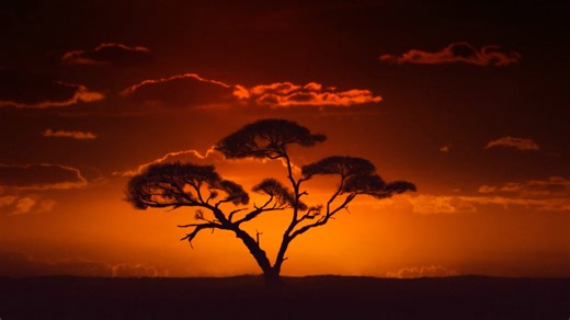 What is a mirage? Nature’s disappearing act