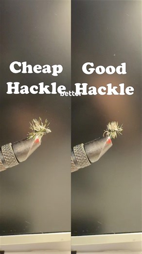Don’t cheap out on your dry fly hackle when you’re tying flies.​ It matters! #flytying #dryflies