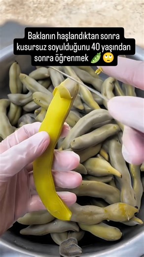 Nefis erişte 571 | Merhaba arkadaşlar bakla yemeği sever misiniz? Peki baklanın haşlandıktan sonra soyulduğunu biliyor muydunuz Protein ve lif kaynağı olan... | Instagram