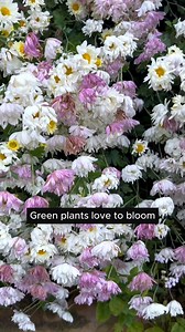 Solve the problem of hard and infertile soil #backyardgardening #gardeninglife #vegetablegardening #vegetablegarden #gardeningtips #gardeninglove #organicgardening #gardensofinstagram #gardenideas #urbangardening #gardeningistherapy #gardeninggoals #homegardening #gardeninspiration #lovegardening #gardeningisfun #countrygarden #gardeningmakemehappy #veggiegarden #happygardening | Gardening Lover