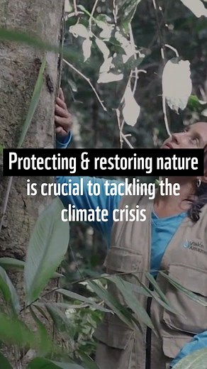 Renewables have overtaken coal as the world’s #1 source of electricity! Solar and wind met all new electricity demand in early 2025 – and even cut fossil fuel use. A clean energy future isn’t just possible, it’s happening now. But the climate crisis is ongoing. Heatwaves, wildfires, and floods remind us every fraction of a degree matters. #COP30 must phase out fossil fuels, scale up renewables, and protect nature, our strongest climate ally. 🌍 | WWF