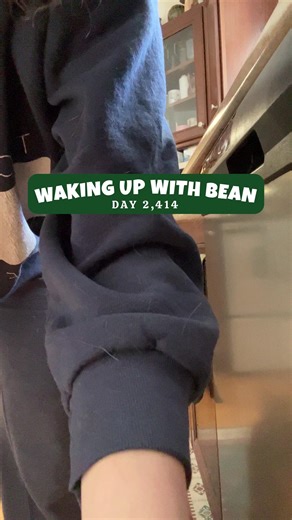 2.4M views · 10K reactions | cheers to the cat moms on International Women's Day! from expert cuddle givers to professional cat treat dispensers, we keep the feline kingdom running smoothly. here's to the women who wear their cat hair like a badge of honour! 壘 #CatMomPower #InternationalWomensDay #catsofinstagram #catsofig #beautynthebean #catmom #catfamily #cats #funnycat #meow #talkingcat #purr #cat #animals #pets #catvideo | Beauty and the Bean | Facebook