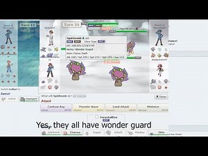 Create Custom Sets for Pokémon Showdown FFA Random Battles!