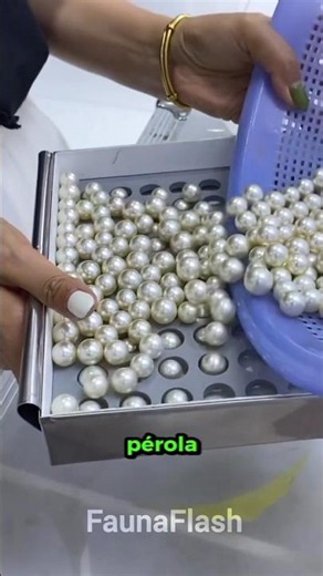 Esse é o segredo NOJENTO por trás das PÉROLAS! #bichos #animal #curiosidade