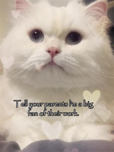 Funny Meme About Telling Your Parents