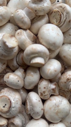 Health benefits of mushrooms
