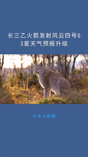 长三乙火箭发射风云四号03星天气预报升级：今天大新聞20251226