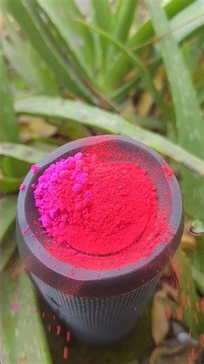 jbl essential 2 gulal bass filp 🔔