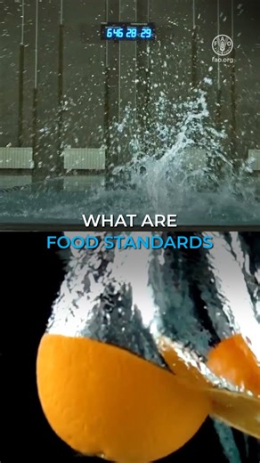Food & Agriculture Organization of the United Nations on Instagram: "✅❌Standards define what is safe to eat and what is not. Farmers, fishers, food processors, retailers... They all use standards to ensure #FoodSafety. Through the FAO & WHO Codex, @FAO and @WHO work with governments to set food standards that save lives."