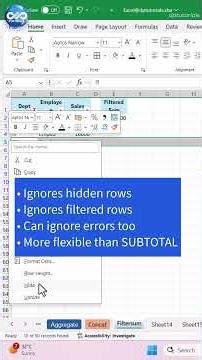 Sum Only Visible Rows in Excel Filtered Data Trick