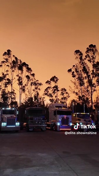 Exciting Truck Show at Tefol Sparks Enthusiasm