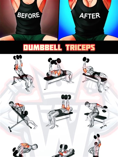 Best Dumbbell Triceps Exercises for Bigger Arms