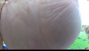 14K views · 70 reactions | All this for a ball ? Are u serious. | AUTO SHOP | Facebook