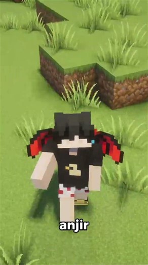 Minecraft Bedrock Complaint #minecraft