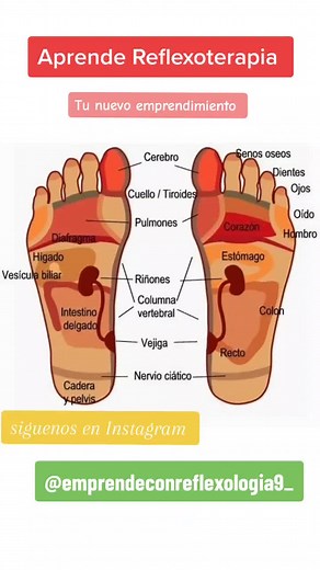 Aprende Reflexoterapia y Mejora tu Calidad de Vida