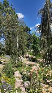 If you're visiting RHS Hampton Court Palace Garden Festival this week, remember to support your favourite gardens by voting in the RHS People’s Choice Award! You can vote in the Show, Gardens of Curiosity and City Pocket Planting categories until 9am on Friday 4 July, with the winners announced at 4pm on the same day 🏆 https://www.rhs.org.uk/shows-events/rhs-hampton-court-palace-garden-festival/rhs-peoples-choice-award | RHS - Royal Horticultural Society