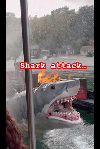 “This shark came WAY too close 😱🦈 | Universal Studios Tram Ride”