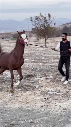 Keşfetteyizzz ile Öne Çıkmanın Yolları