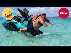 Try Not To Laugh 🤣 Top 100 Funniest Videos Ever 😂 | Funny Videos Compilation 2026 #156
