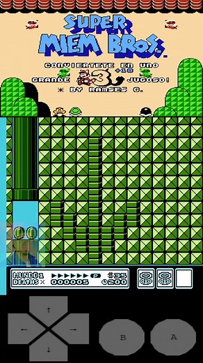 18K views · 160 reactions | Niveles kaizo de super mario bros 3 #mario #mariobros #supermario #supermariobros | Berna Lark | Facebook