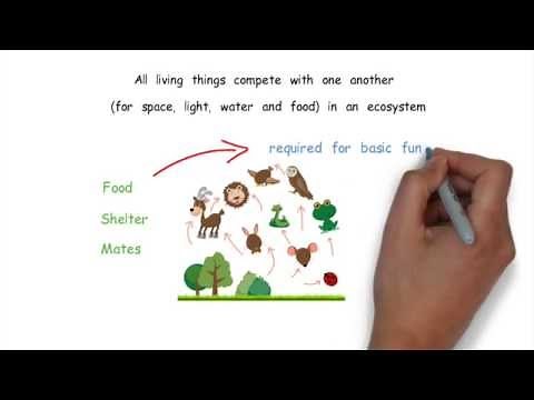 The 10 Big Ideas of Science