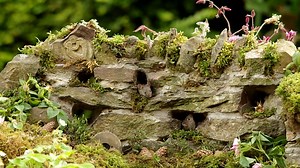 6.4K views · 810 reactions | The Magical Mouse Wall . you never know where they may pop out next . | George the Mouse in a log pile house | Facebook