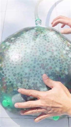 🐸 Frog Swamped My Garden!