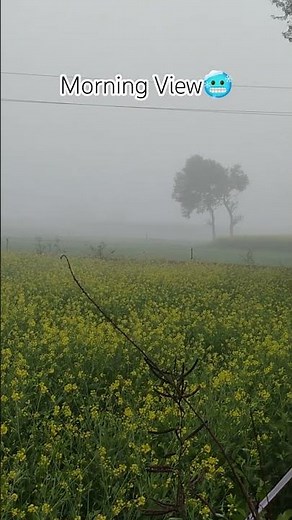 The beautiful morning view